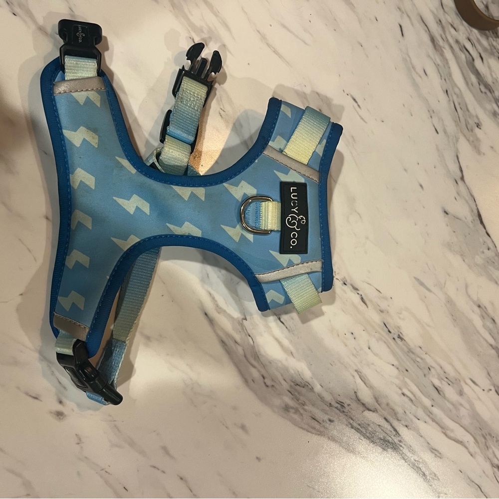 Lucy & co Blue Lightning bolt  dog Harness